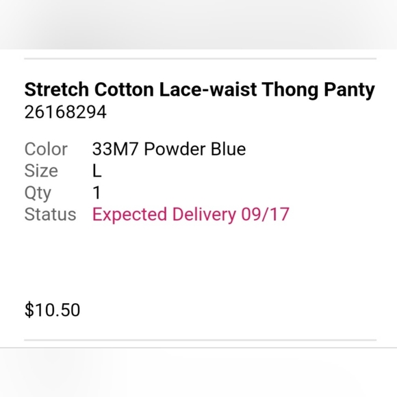 NWT Set of 2 Victoria Secret Stretch Cotton Lace Thongs Size L - Picture 5 of 6